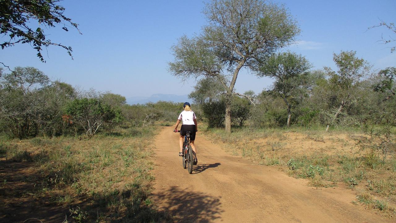 Woodpecker Lodge B&B Hoedspruit Zewnętrze zdjęcie