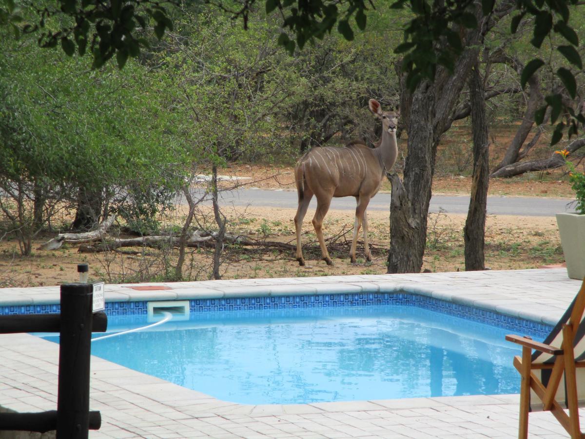 Woodpecker Lodge B&B Hoedspruit Zewnętrze zdjęcie