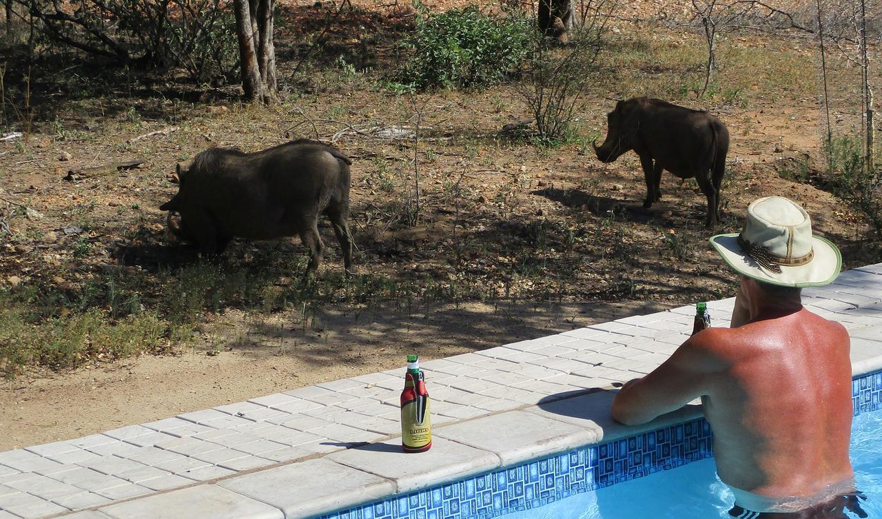 Woodpecker Lodge B&B Hoedspruit Zewnętrze zdjęcie