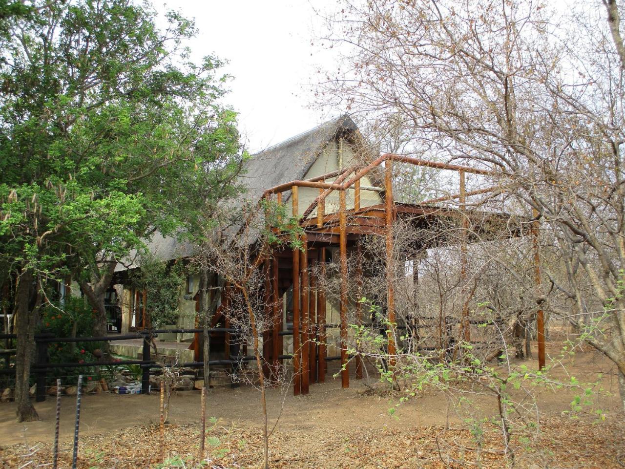 Woodpecker Lodge B&B Hoedspruit Zewnętrze zdjęcie